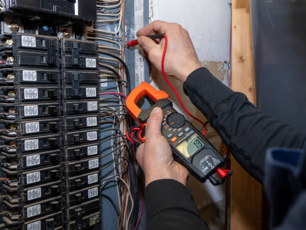 Best Electric Panel Repair  in Douglasville, GA